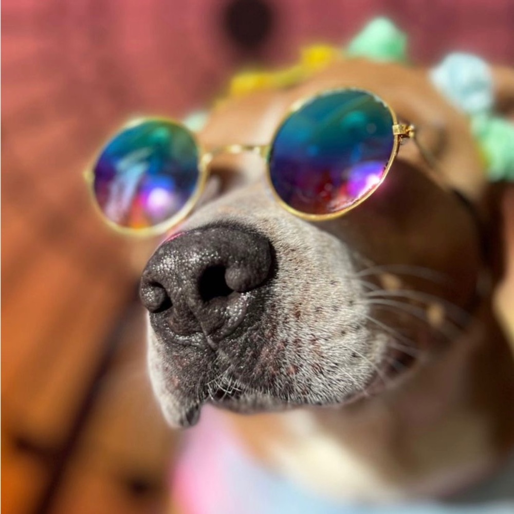 Meet your Posher, Martha